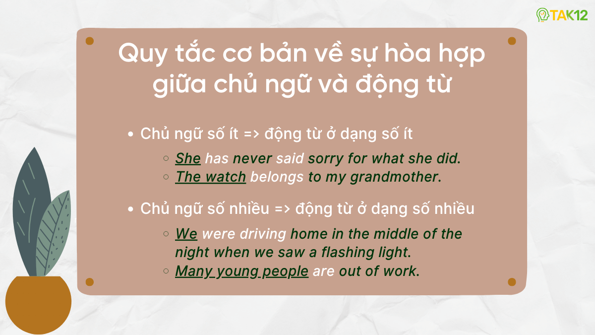 Quy tắc cơ bản về sự hòa hợp giữa chủ ngữ và động từ